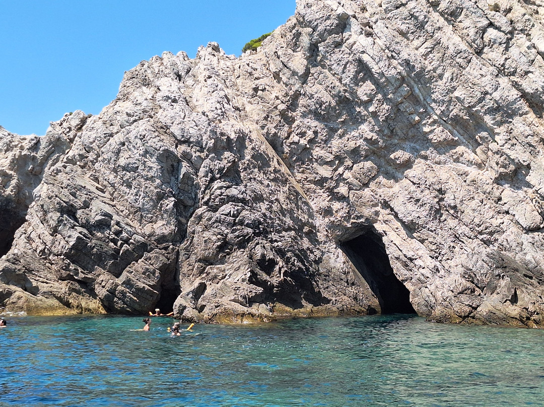 Galeb Boat Tours-Kolocep Island必去景点
