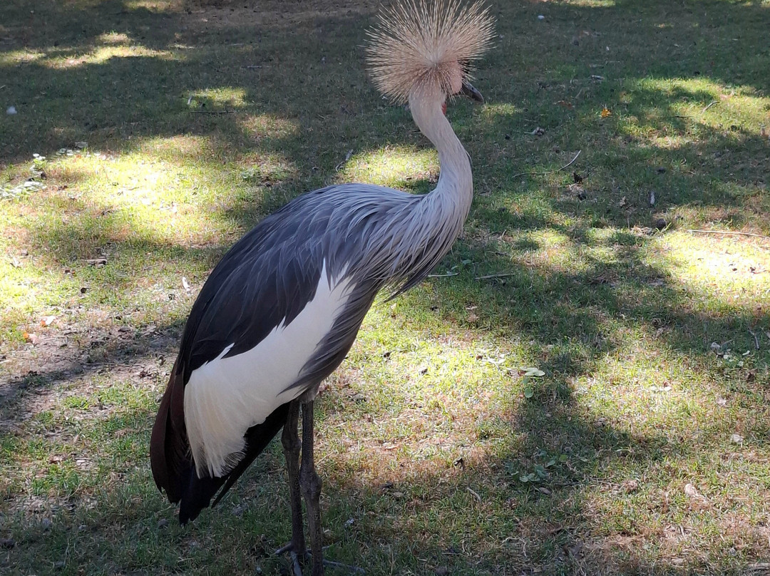 Parc Animalier et Botanique de Branféré-Le Guerno必去景点
