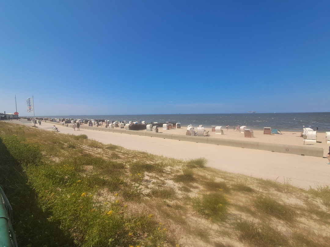 Cuxhavener Kuestenheide-库克斯港县必去景点