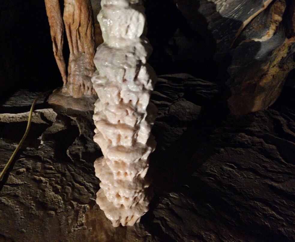 Grotte di Toirano-Toirano必去景点