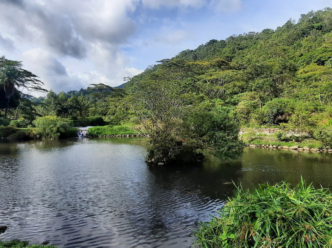 Parque Biblioteca de Boquete-波魁特必去景点