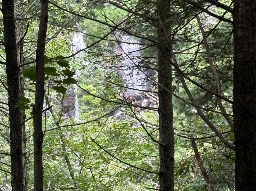 Dukes Creek Falls Trail-海伦必去景点