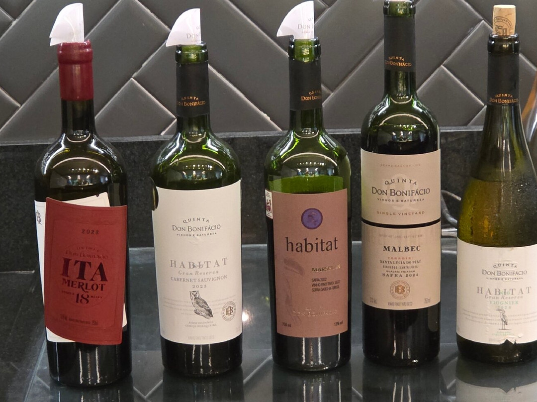 Vinicola Quinta Don Bonifacio-南卡希亚斯必去景点