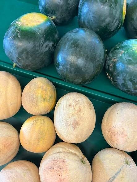 Pumpkins And More Farm Market-Ferdinand必去景点