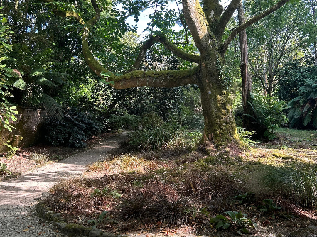 Trengwainton Garden-彭赞斯必去景点