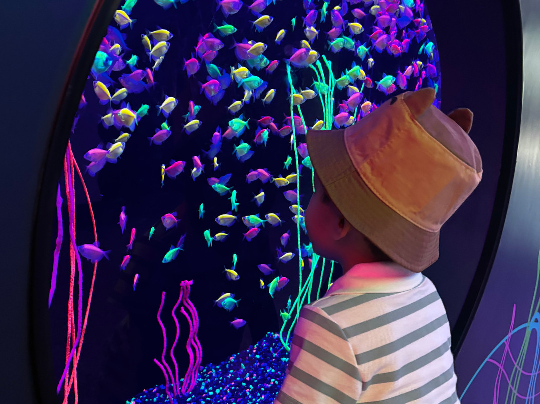 Acuario Michin Guadalajara-瓜达拉哈拉必去景点