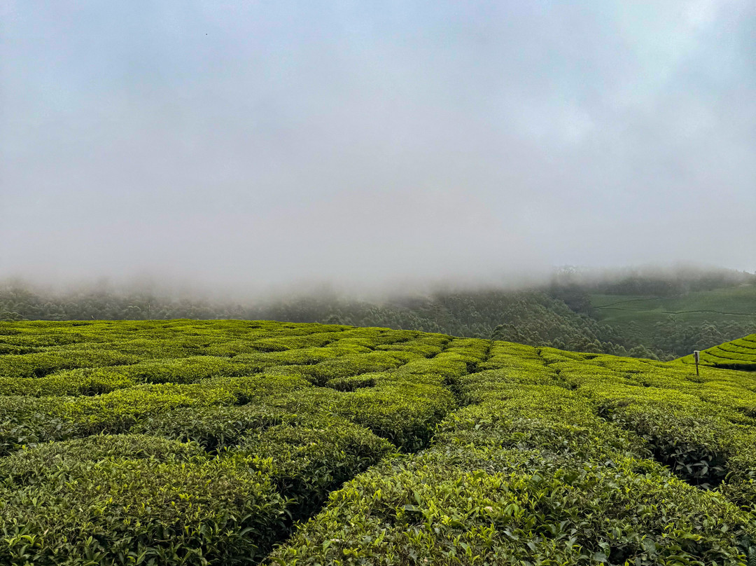 Rajamalai (Eravikulam) National Park-慕那尔必去景点