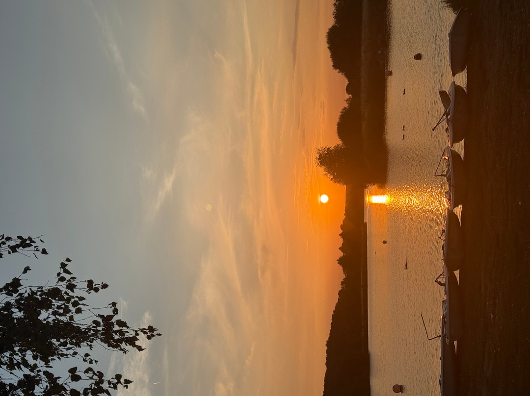 Bosworth Lakeside lodges and camping
