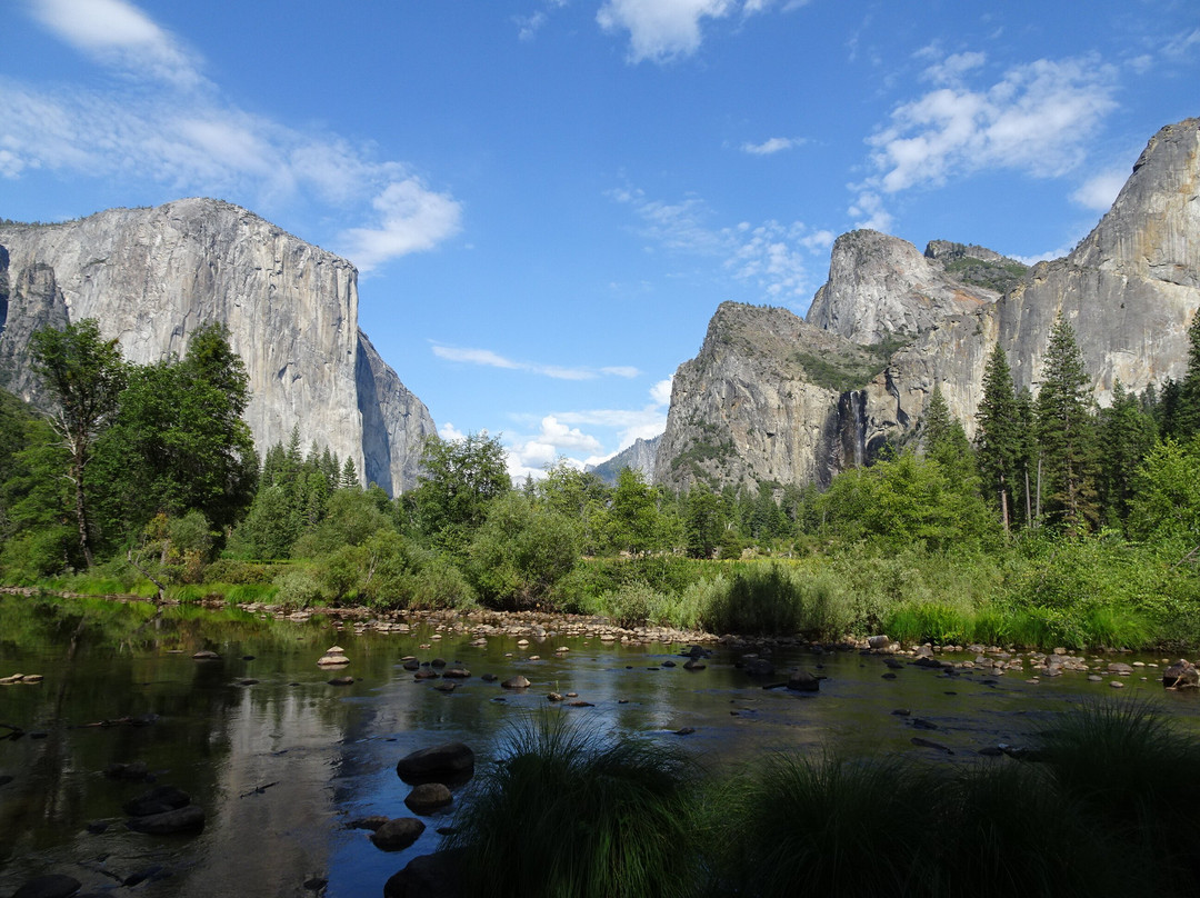Yosemite Private Tours-Wawona必去景点
