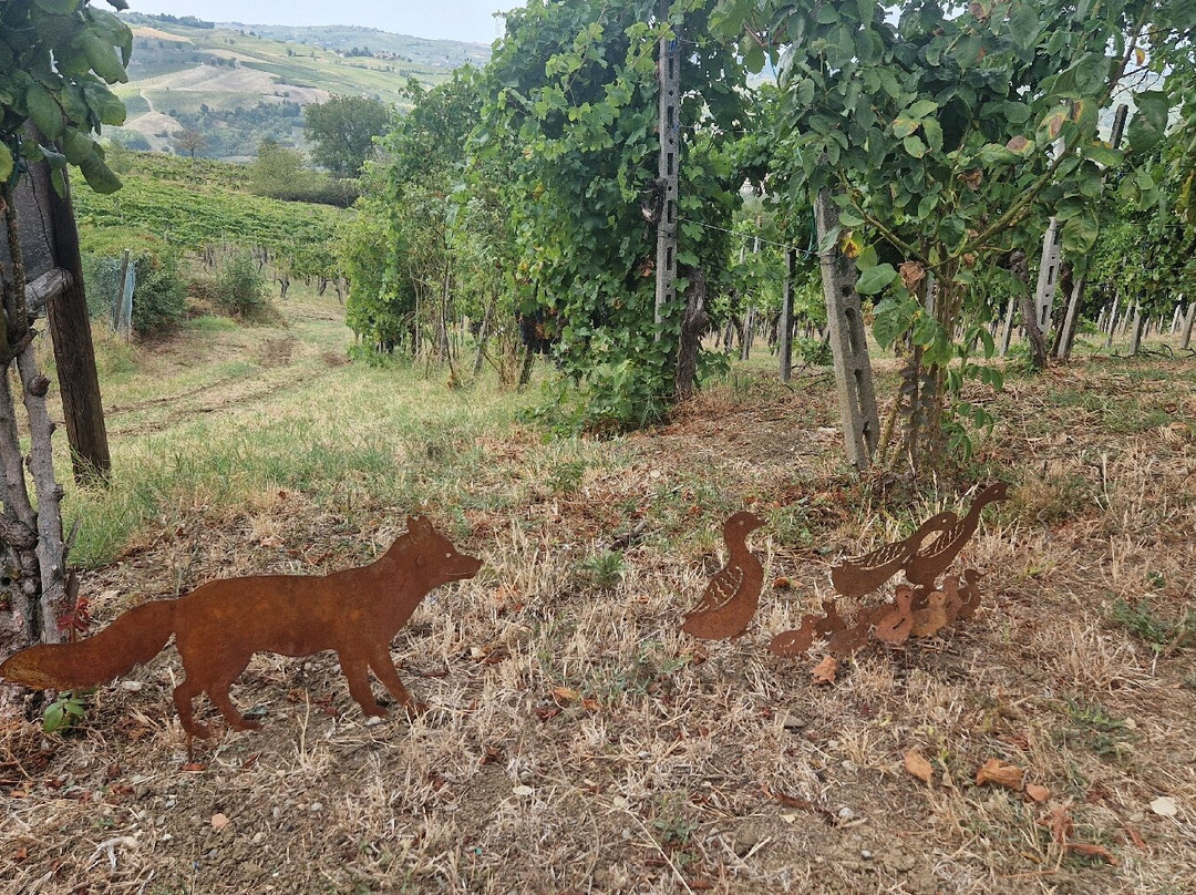Tenuta Riccardi - Vini dal 1912-Santa Maria della Versa必去景点