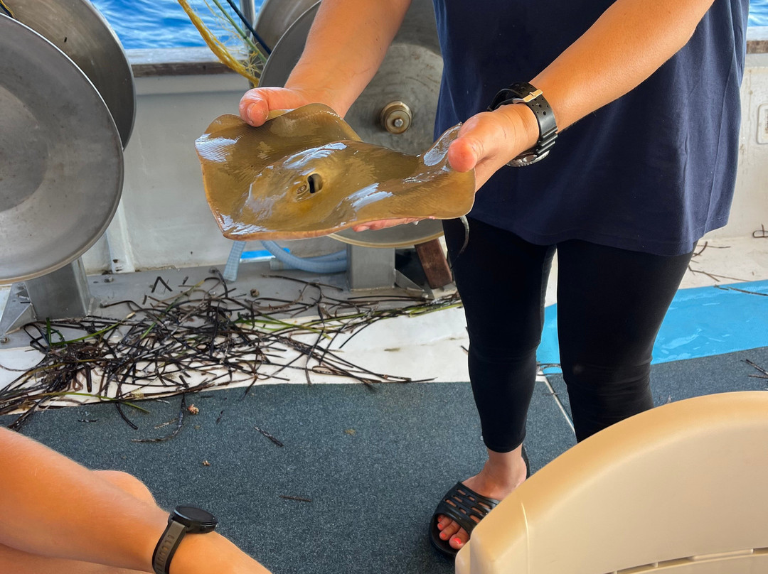 Fishing Tourism Kefalonia Dimitrios-Efthimia-Katelios必去景点