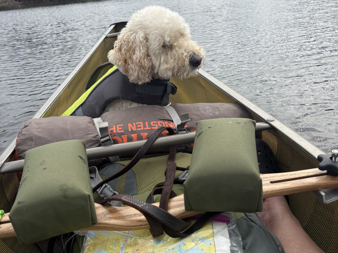 Seagull Canoe Outfitters-大马雷必去景点