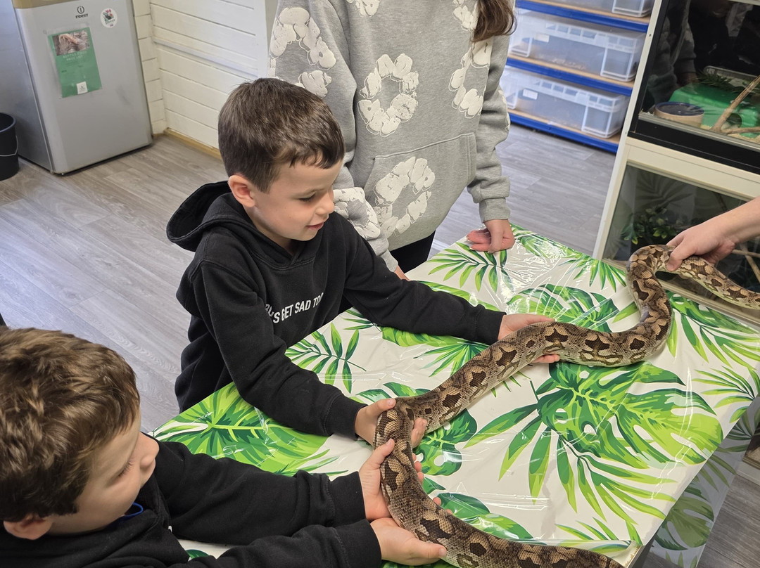 Djl Exotics-Frinton-On-Sea必去景点