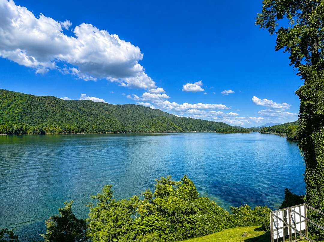 Watauga Lakeshore Resort & Marina