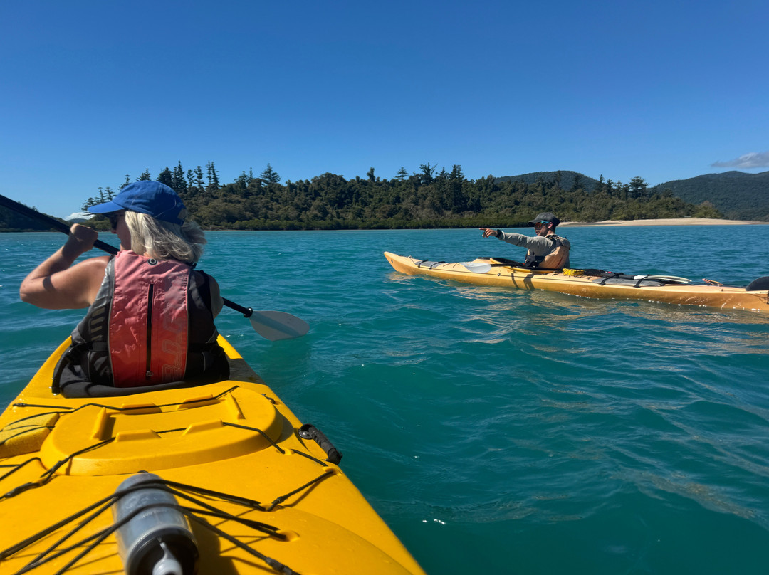 Salty Dog Sea Kayaking - Day Tours-舒特港必去景点