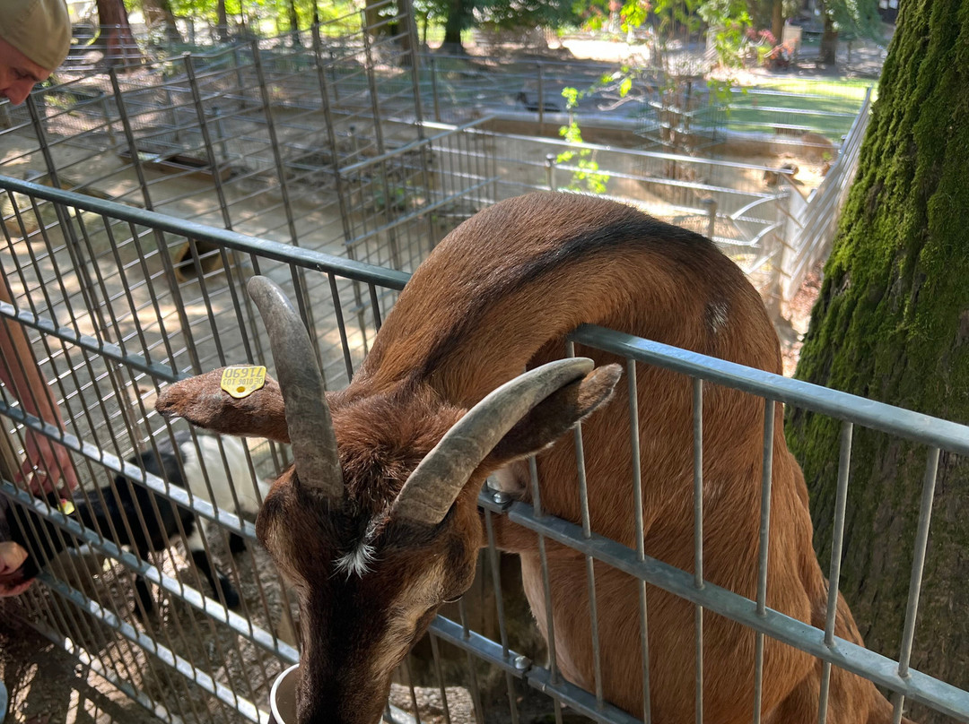 Bergtierpark Füerth-Erlenbach-Fuerth必去景点