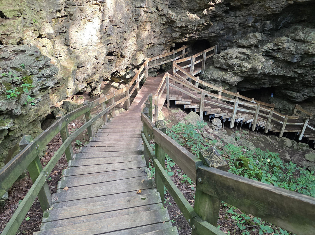 Maquoketa Caves State Park-Maquoketa必去景点
