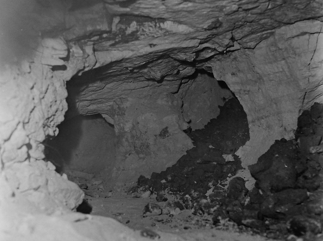 Prehistoric Flint Mines at Rijckholt-St.Geertruid-Rijckholt必去景点