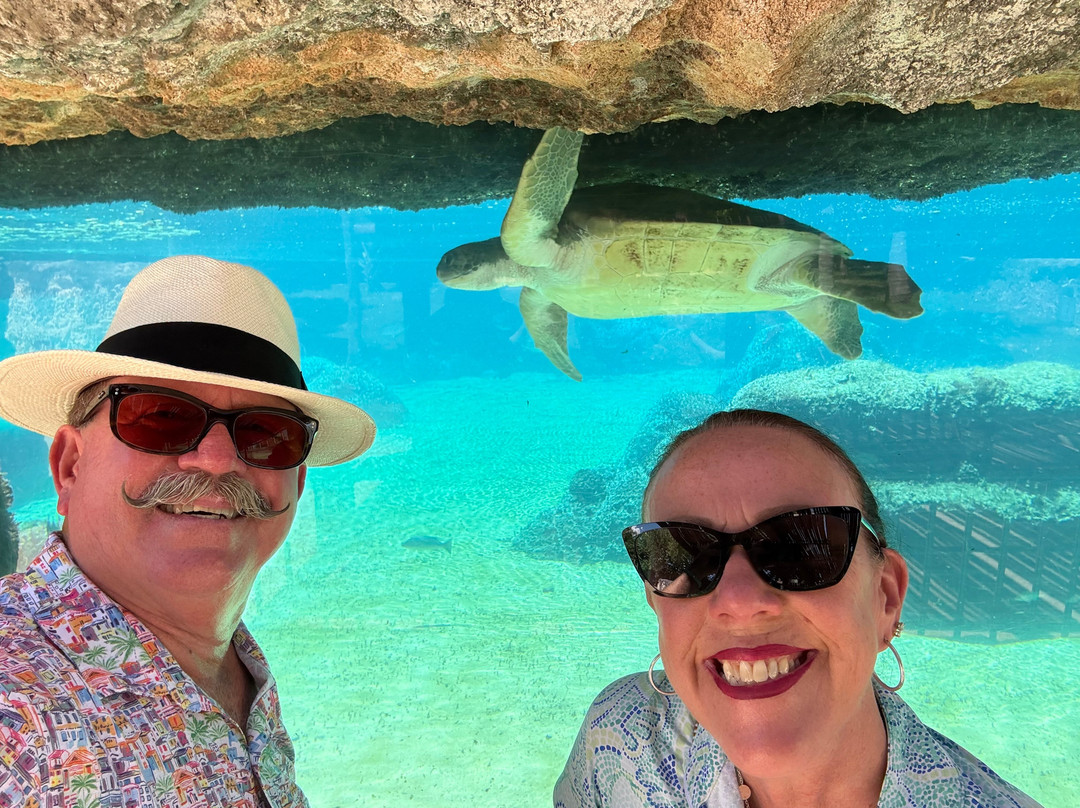 Cayman Turtle Centre: Island Wildlife Encounter-西湾必去景点