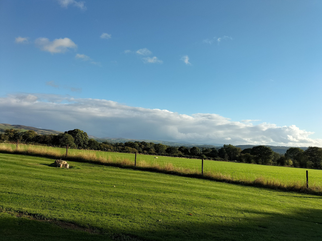 Vale View Glamping