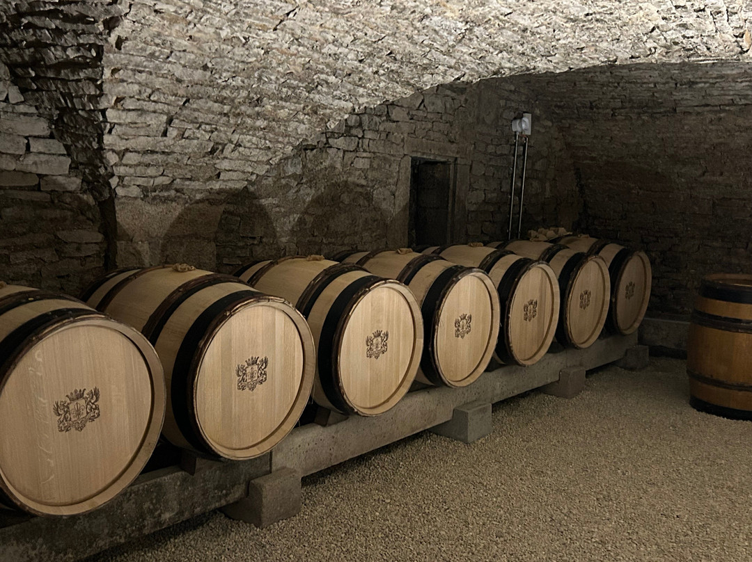 Chateau de Meursault-默尔索必去景点