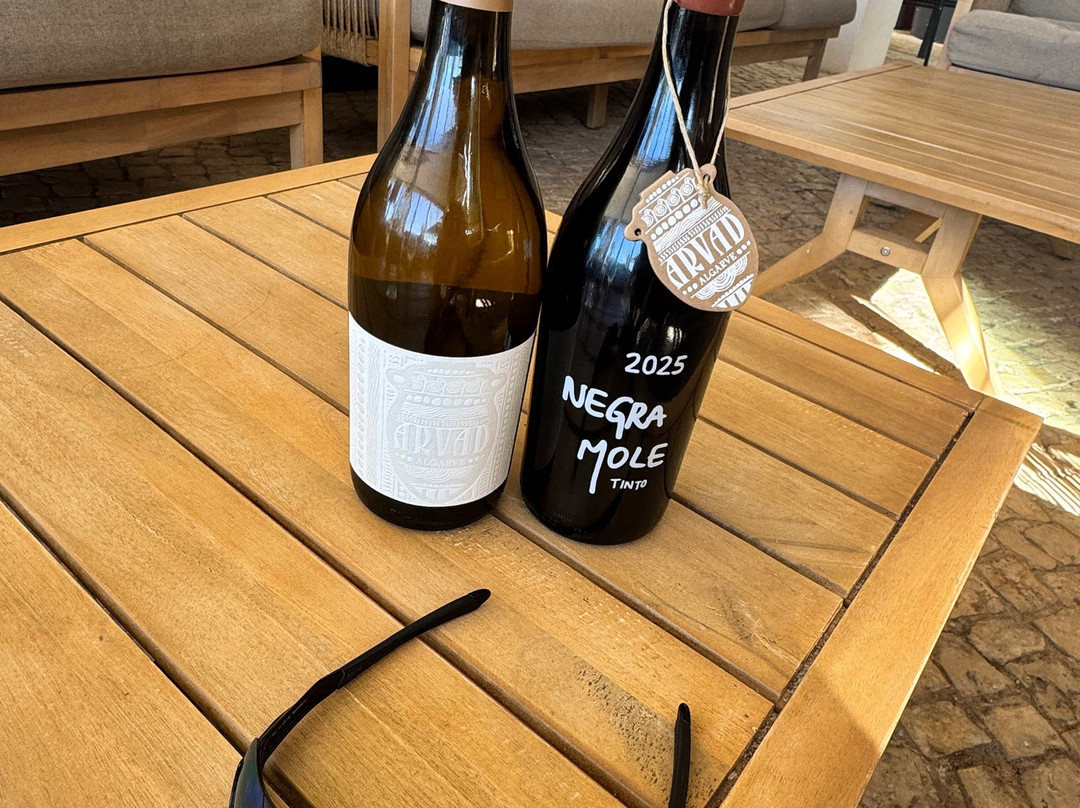 Arvad Wines-Estombar必去景点