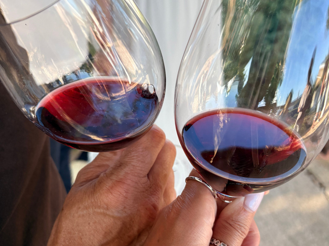 Bodegas Torralbenc-Cala en Porter必去景点