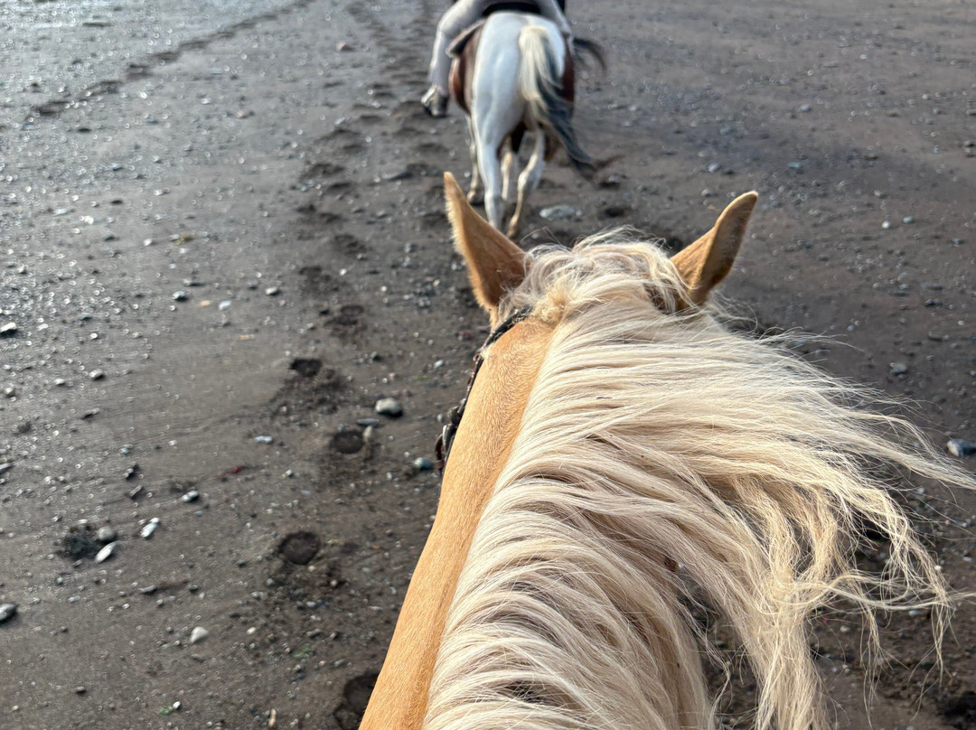 Spirit Reins Ranch-Parrsboro必去景点