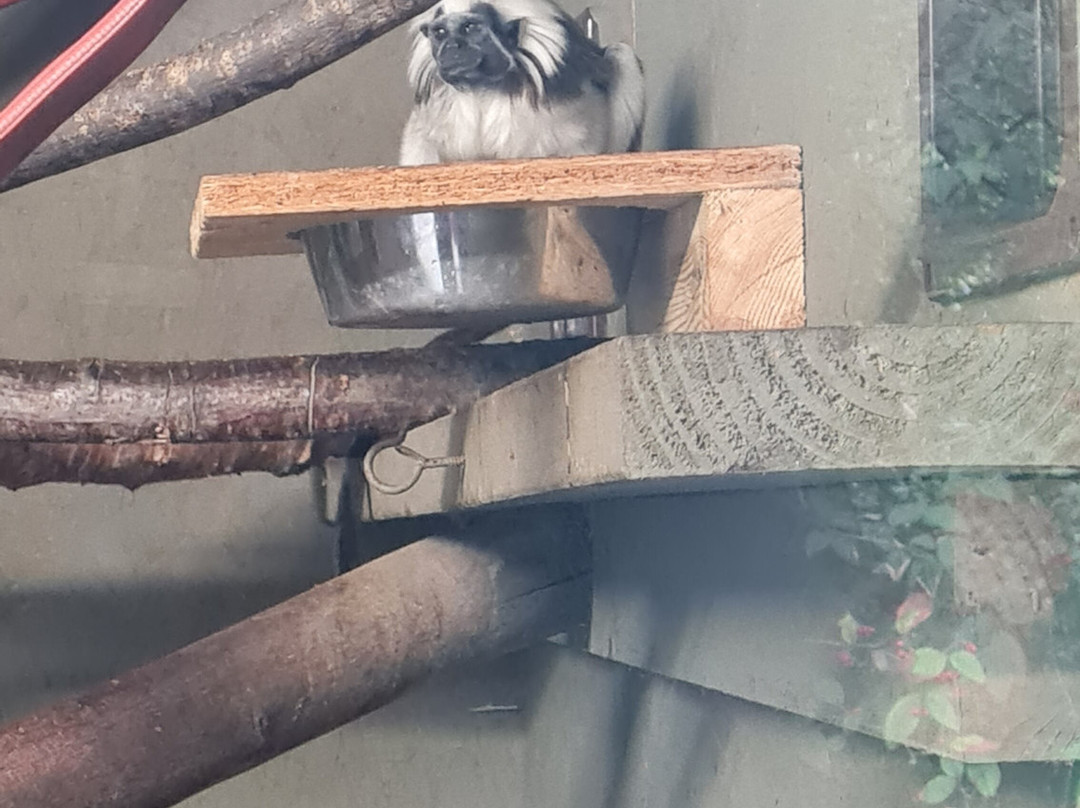 Ponderosa Zoo-Heckmondwike必去景点