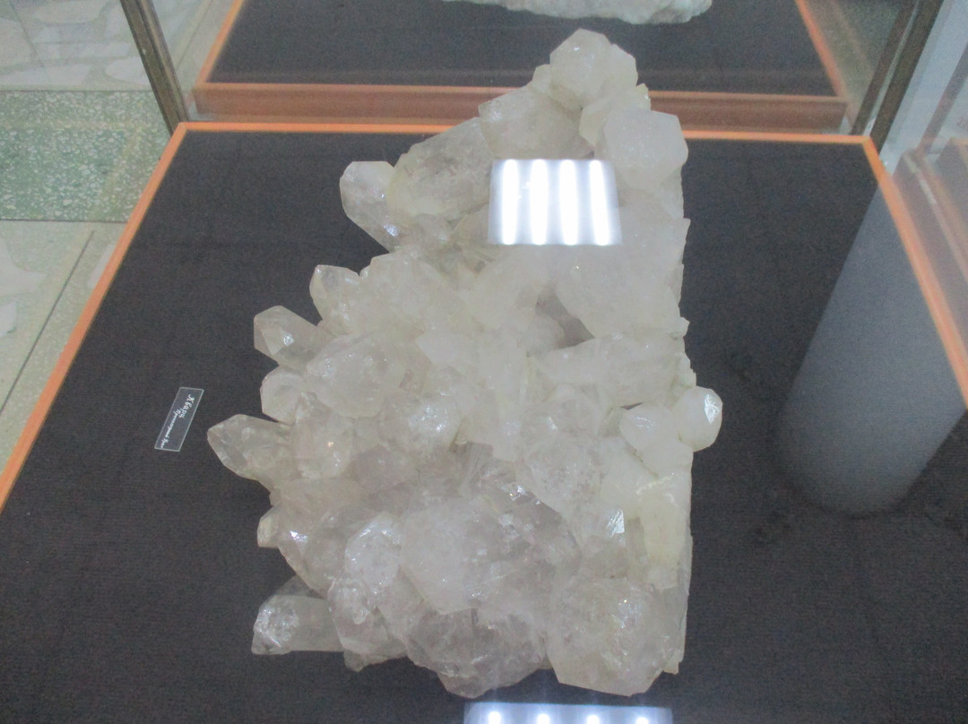 Natural Scientific Museum of the Ilmen State Reserve-Miass必去景点