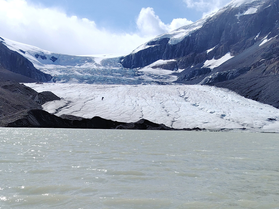 Athabasca Glacier-贾斯珀国家公园必去景点