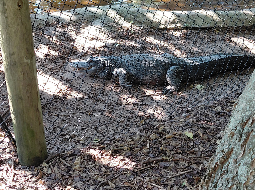 The Gulf Breeze Zoo-Gulf Breeze必去景点