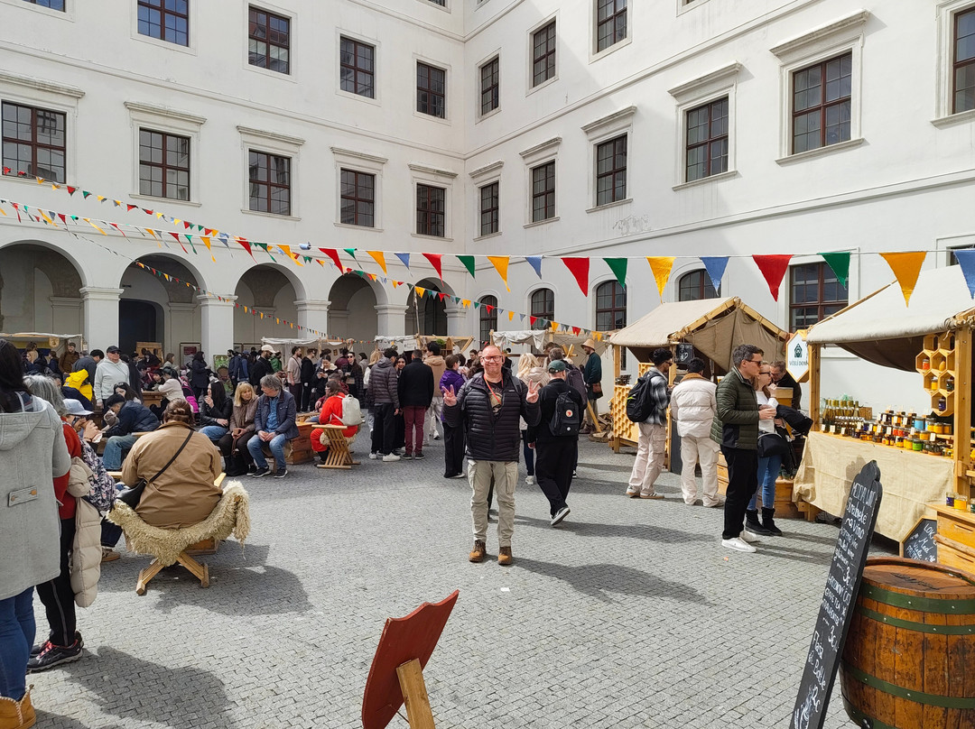 Bratislava Castle-布拉迪斯拉发必去景点