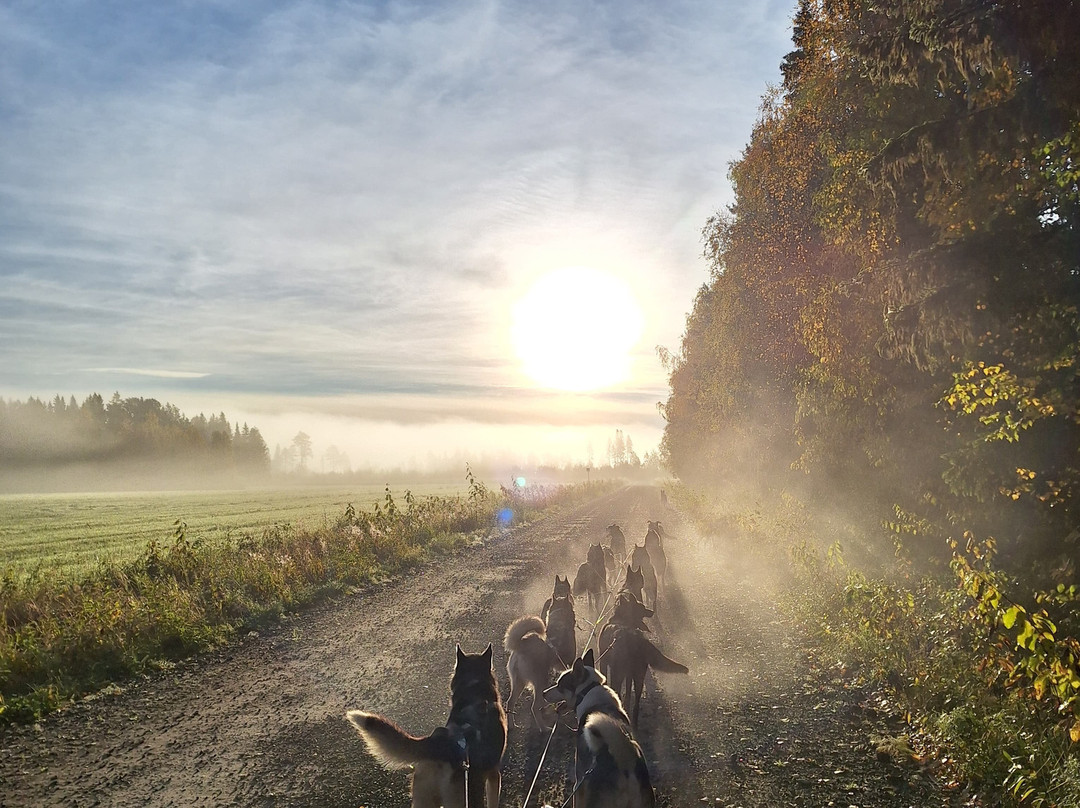 Lapplands Drag - Day Tours-Blattnicksele必去景点