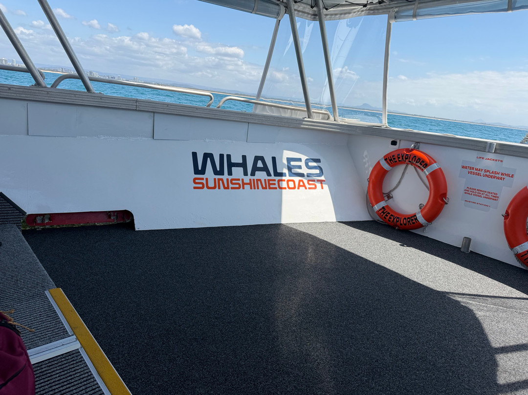 Whales Sunshine Coast-Buddina必去景点