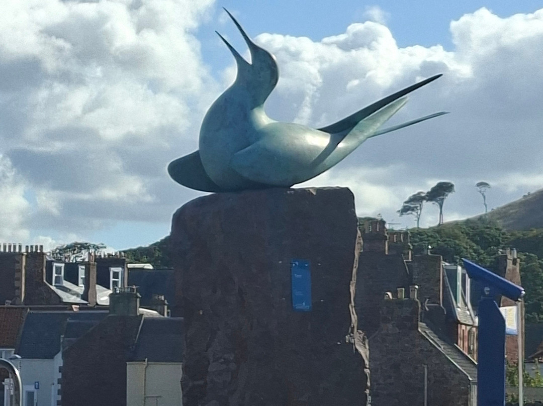 Scottish Seabird Centre-北柏威克必去景点