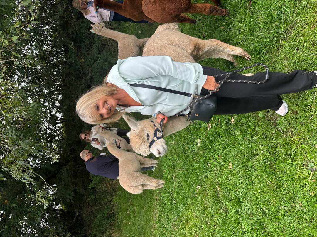 Charnwood Forest Alpacas-Boundary必去景点