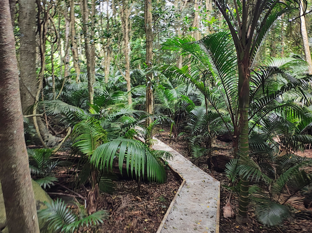 Norfolk Island National Park & Botanic Garden-诺福克岛必去景点