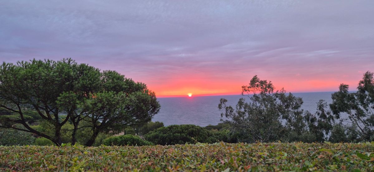 La Reserve Ramatuelle Hotel Spa & Villas-旅行者