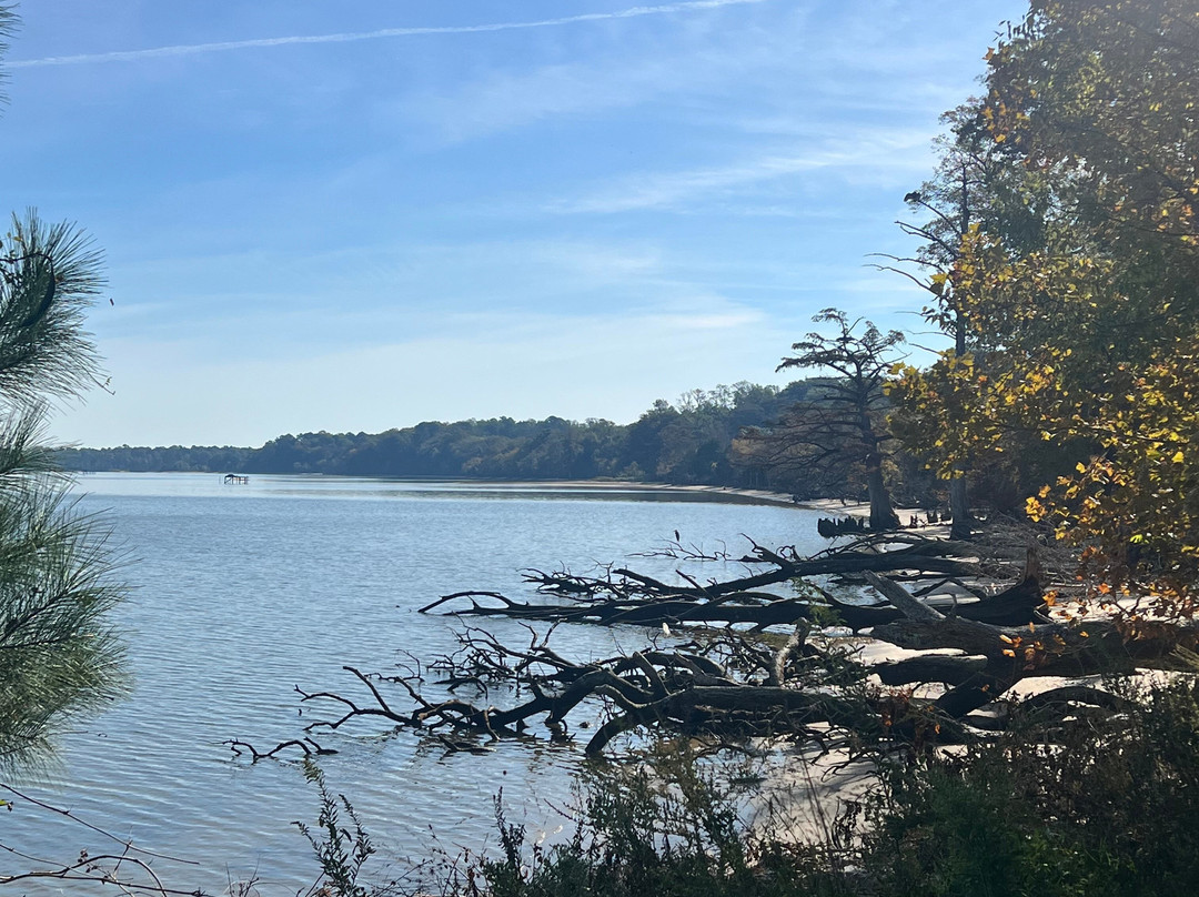 Chippokes State Park-Surry必去景点