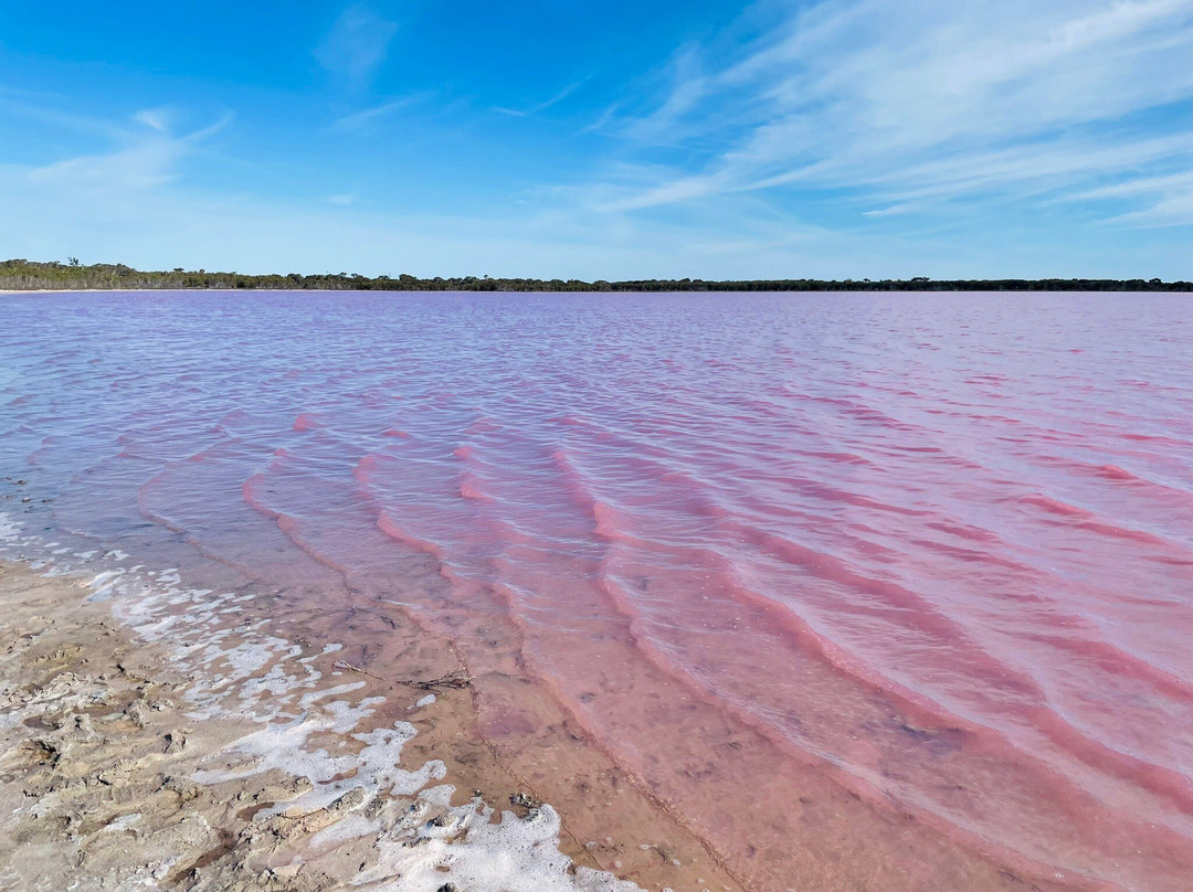 Pink Lake-Dimboola必去景点