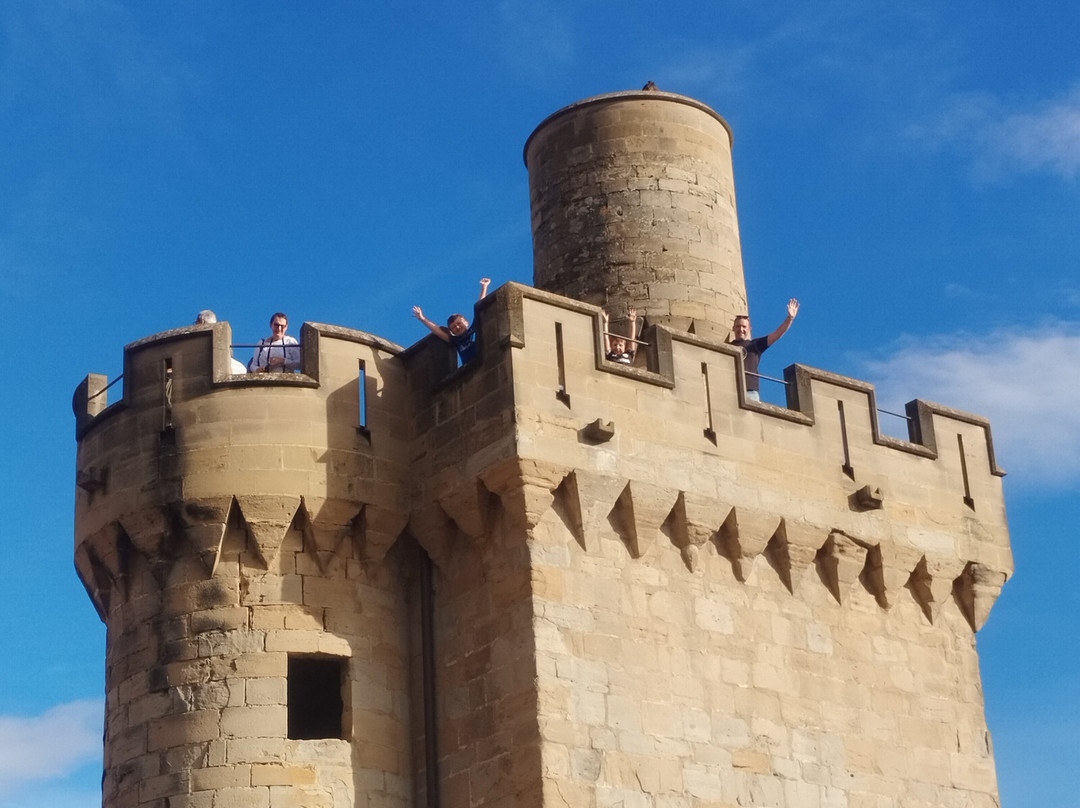 Palacio Real de Olite-Olite必去景点