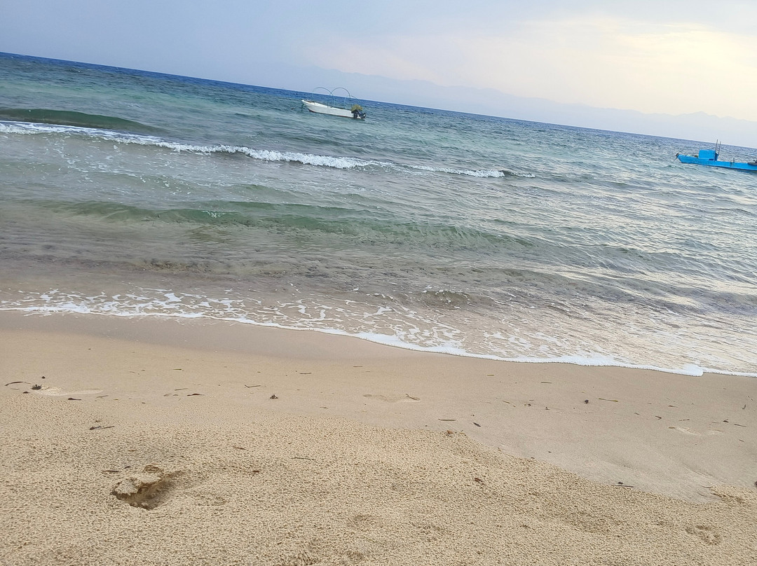 Viva La Vida Beach Camp