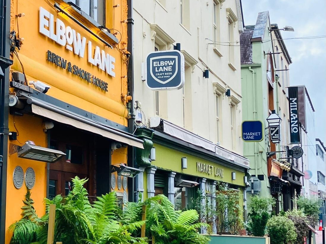 St Patrick Street-科克必去景点
