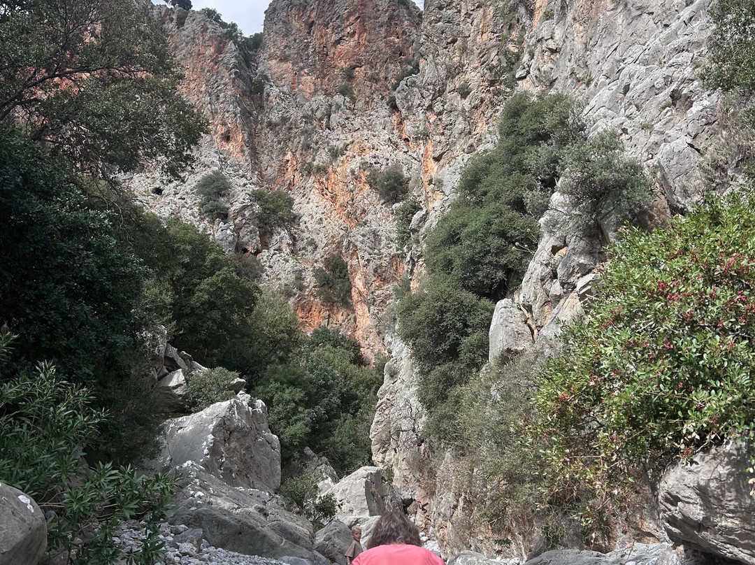 Kritsa Gorge-Kritsa必去景点