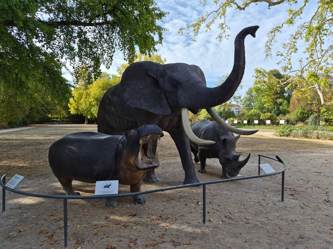 Jardin de l'Arquebuse