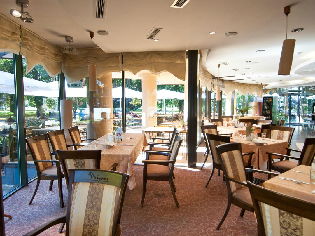 Hotel Pusynas