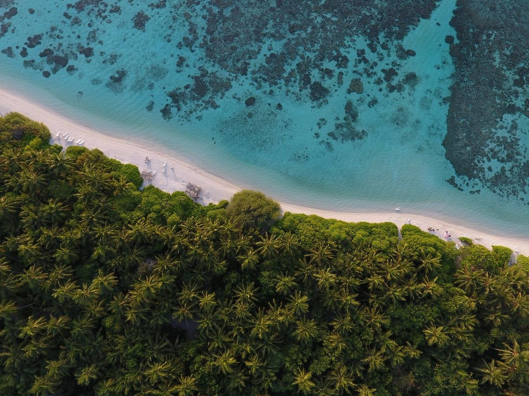 Alimathaa Island旅游攻略图片