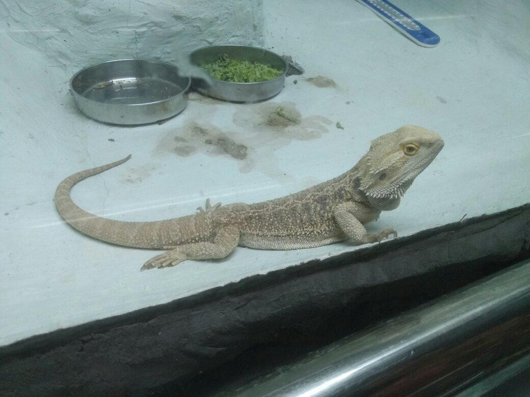 蛇岛自然博物馆