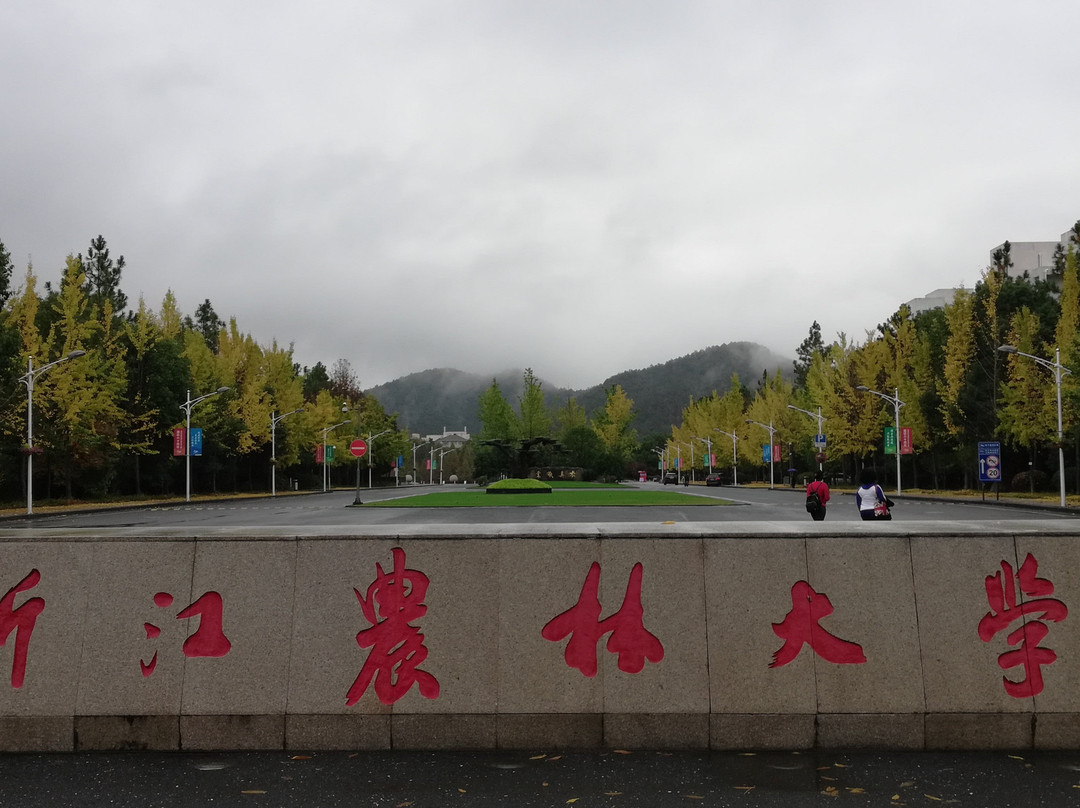 大学城商业街景点图片